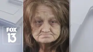Florida woman faces charges in animal hoarding case