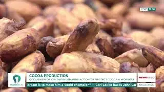 Quality Control Company Raises Alarm on Cocoa Farm Worker Safety | News Feed