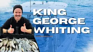 KING GEORGE WHITING | St Leonards and Port Phillip Bay (Squid, Rigs and Tumbler bag included)