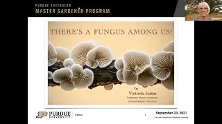 IUN Community Garden: There&rsquo;s a Fungus Among Us! - 2021