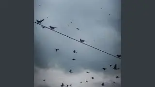 Она всегда