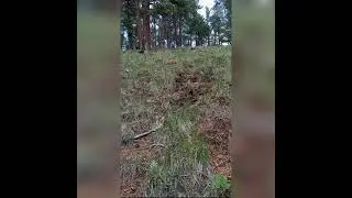 Mountain skating (off road rollerblading, summer skiing)