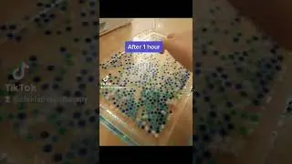 Toddler Play Water Beads for Language Development @TheJulesTush