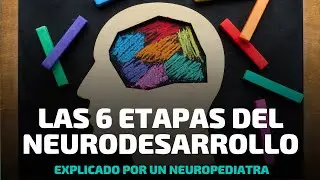 Conoce los 6 niveles de desarrollo de tu hijo...te interesa saberlo