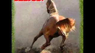 Subject - Wild Horses From The Clouds
