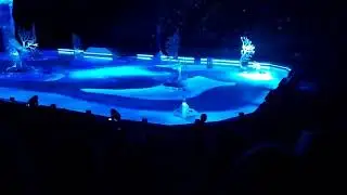 Цирк дю солей 2019 Санкт-Петербург, Cirque du Soleil Шоу &laquo;Crystal&raquo;