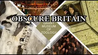 Obscure Britain - Grant Museum Of Zoology - London