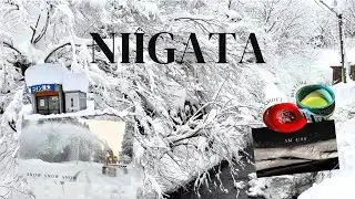 ❄️snow trip | 美しい雪を見にでかけた日の2日間 | Niigata, Japan | Quiet Winter Road & Snowy Landscape Vlog ☃️
