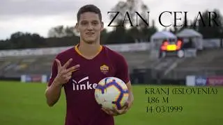 ZAN CELAR - All Goals & Assists in Primavera 2018-19