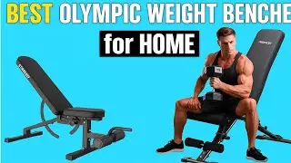 Best Olympic Weight Benches for Home