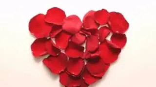 8марта Цветы дари любимому человеку