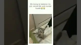 Trying to balance my personal and professional life.  #lifequotes #corporatelife #memes #funnyshorts