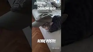 społeczność to ostatnia opcja na pasku (nie na pasku zadań jeśli jest ktoś na kompie) #post #aleks
