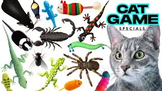 CAT GAMES Little Mouse 3D| Ultimate Compilation Catching The LIZARDS, Flies,FireBugs🦎11 HOUR🦎Vol 479
