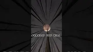 becarefull #trending #viral #psychology #shortsvideo