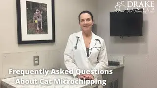 Frequently Asked Questions About Cat Microchipping