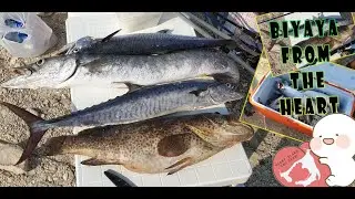 Biyaya from the HEART, Abu Dhabi Island Escapade | FishWorld TV