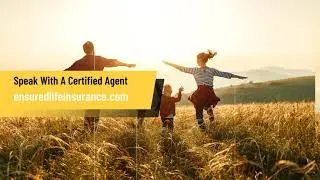 life insurance  - ensured life insurance