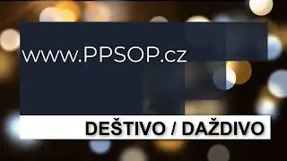 PPSOP.cz | Bryan Peterson - vyhodnocen&iacute; 11/2021 - DE&Scaron;TIVO / DAŽDIVO