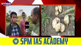 বজাৰত আলুৰ উচিত মূল্য নাপায় কৃষকৰ কান্দোন