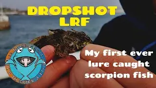 Plymouth LRF. Light Rock Fishing UK with dropshot.