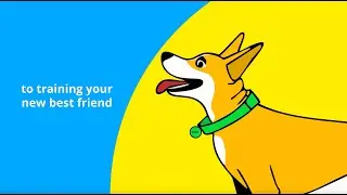 For Dummies | Hero Animation