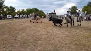 GAJAN ABRIVADO BANDIDO PARCOURS OUVERT 29/07/2022