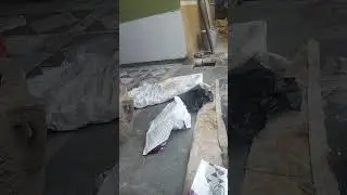 Kheti badi vlogp
