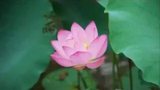 Abraham-Hicks: Self Appreciation