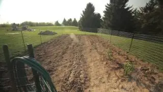 Best Vegetables to Grow in Zone 6 | Troy-Bilt&reg;