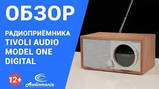 Два противоположных мира в одном устройстве. Обзор Tivoli Model One Digital