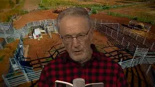 GROWING OLD IN A CATTLE FEEDLOT