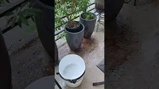 #concretecleaning #sidingwashing  #roofinginnovation #powerwashing #deckwashing #roofcleaning