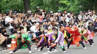 【4K30p】平岸天神ジュニア★第34回YOSAKOIソーラン祭り/大通西10丁目会場/2025.06.07/CanonEos90
