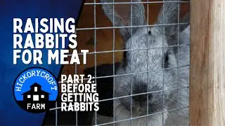 Raising Rabbits for Meat | Things to Consider Before Getting Meat Rabbits