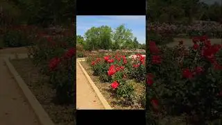 A peaceful place to walk and slow down, surrounded by native plants and open landscapes.