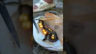 😱🐍Snake and Golden Pearl