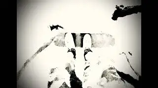 Landing 🛬 HardFlip/ doing switchflip n kickflip skateboarding chronicles pt. 18