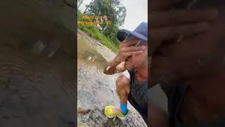 Um pouco do meu treino de 15km
