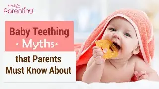 Baby Teething Myths and Facts Behind Them