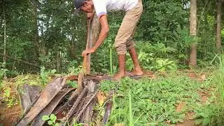 DIY Fire Prep: Splitting Coconut Wood by Hand _FarmersLife _Shorts