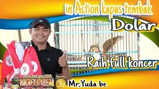 In Action kapas tembak DOLAR