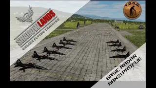 T.O.G.G. - Shadowlands - DCS -  BANZI Profile