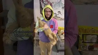 Does my cat trust me?