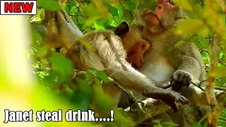 Terrible sad! The last hug and steal mom milk of Janet before got acciddent/Janet like know she gone
