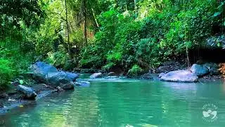 River Sounds for Sleeping All Night | Gentle Flowing Water Nature Ambience for Deep Sleep