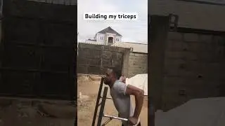 Building my triceps #shorts #workout #fitness