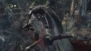 Picking Up The Pieces Perhaps?- Bloodborne On PC