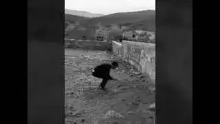 XiaoYing_Video_1480727391981.mp4