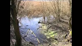 Oaks Bottom Wildlife Refuge